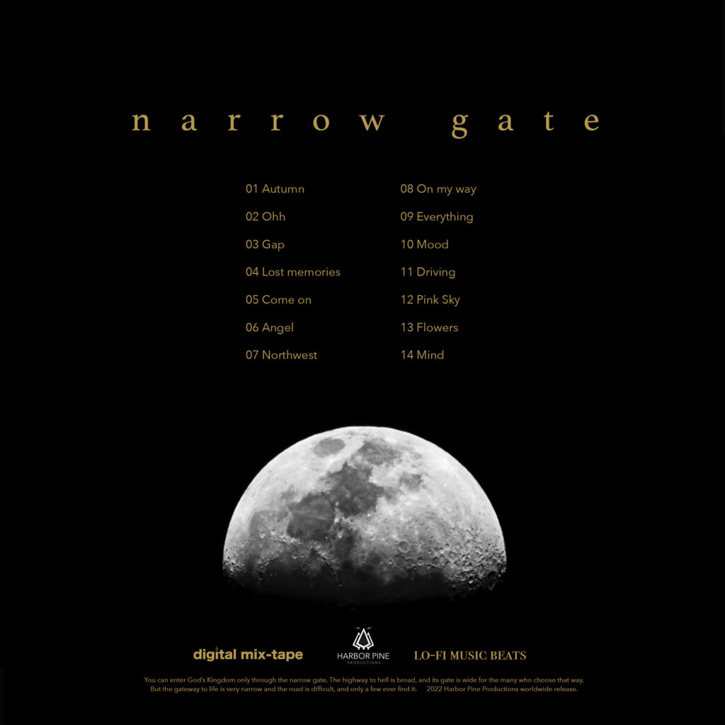 narrow gate vinyl album back